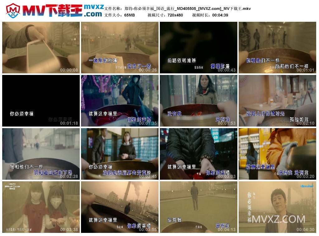 郑钧-你必须幸福_国语_流行_MD405505